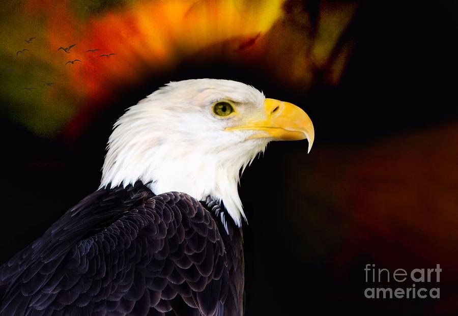 American Eagle  Mixed Media by Elaine Manley