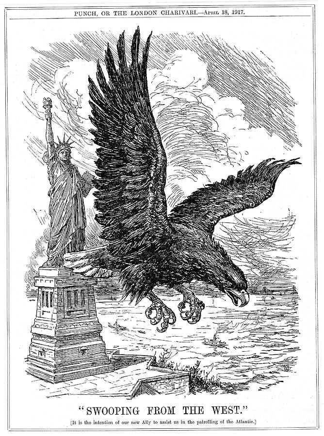 American Eagle Swooping To Guard Drawing by Print Collector