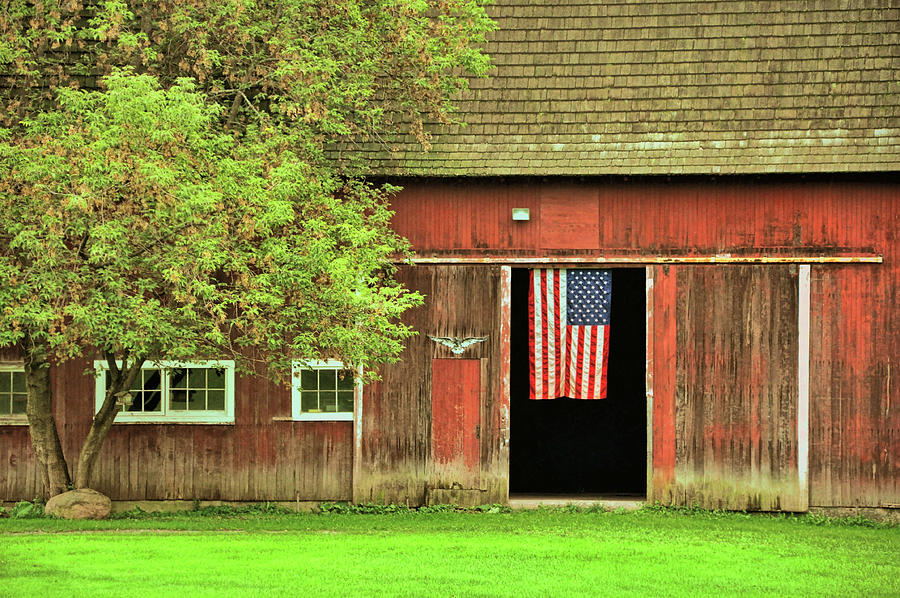 American Farm Photograph by Dressage Design