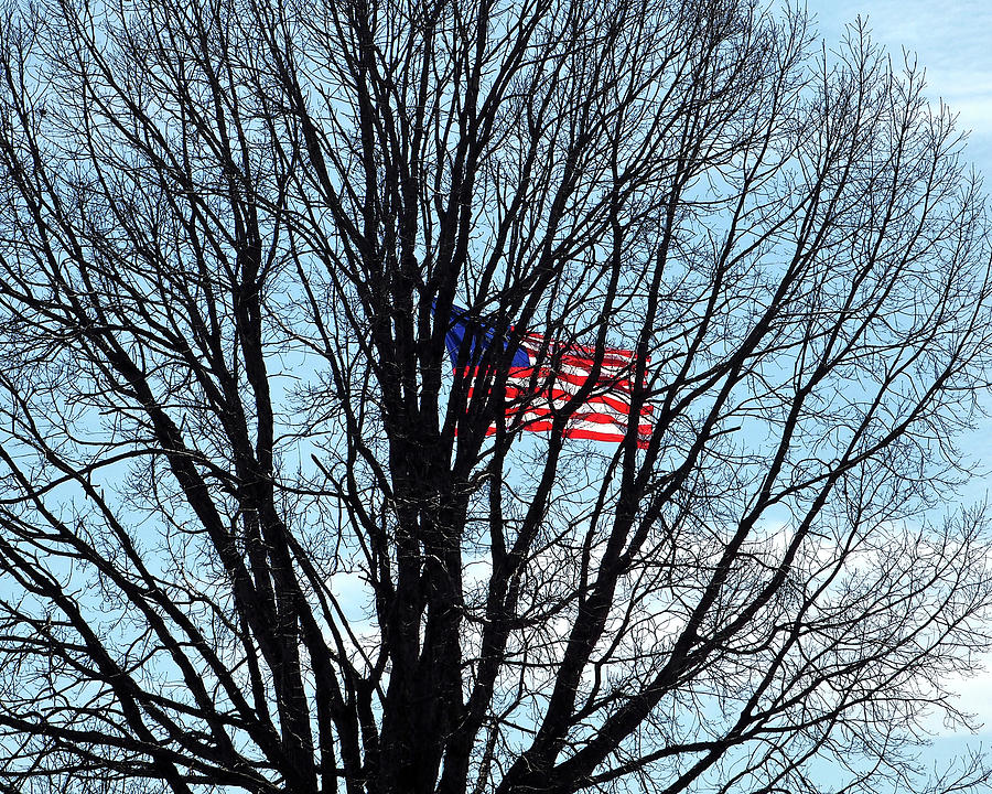 American Flag Branching Out at Fort McHenry by Bill Swartwout Photography American Flag Branching Out at Fort McHenry by Bill Swartwout Photography