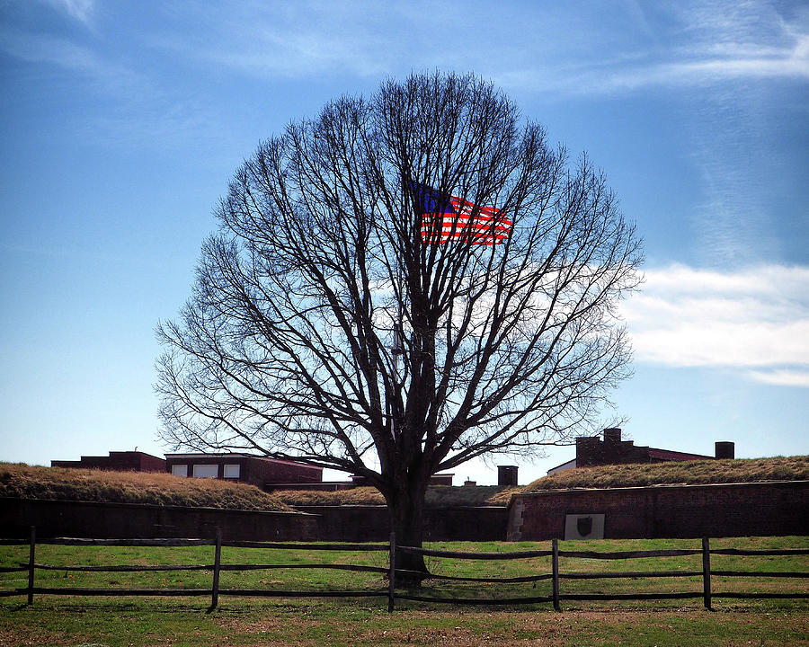 American Flag Tree at Fort McHenry by Bill Swartwout Photography American Flag Tree at Fort McHenry by Bill Swartwout Photography