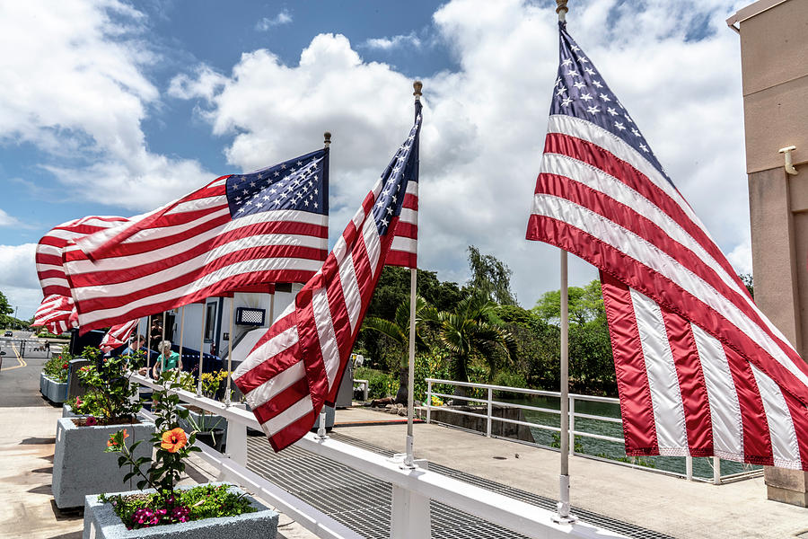 American Flags Flying in the Wind by Brian Johnson American Flags Flying in the Wind by Brian Johnson