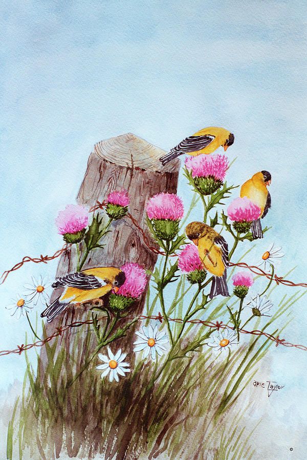 Flower Painting - American Goldfinch by Arie Reinhardt Taylor