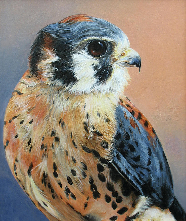 Watercolor Painting with Ronna: The American Kestrel - Portland Audubon