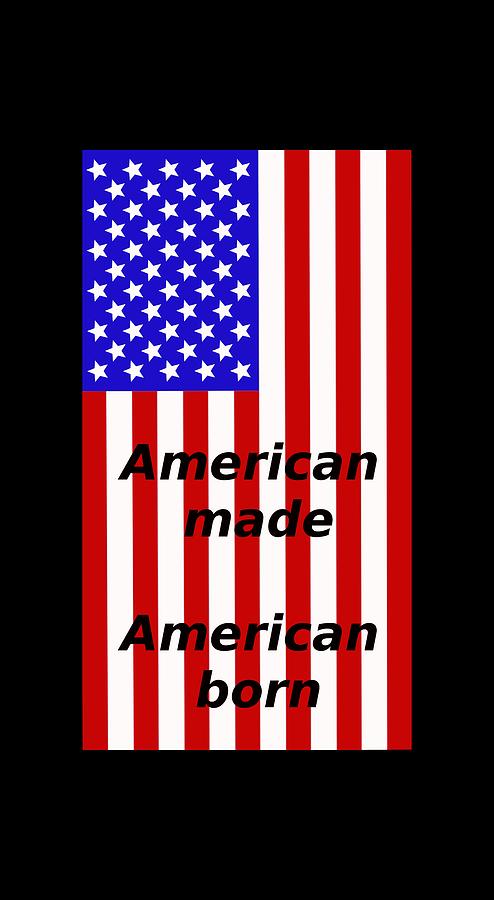 American made American Born Digital Art by James Smullins