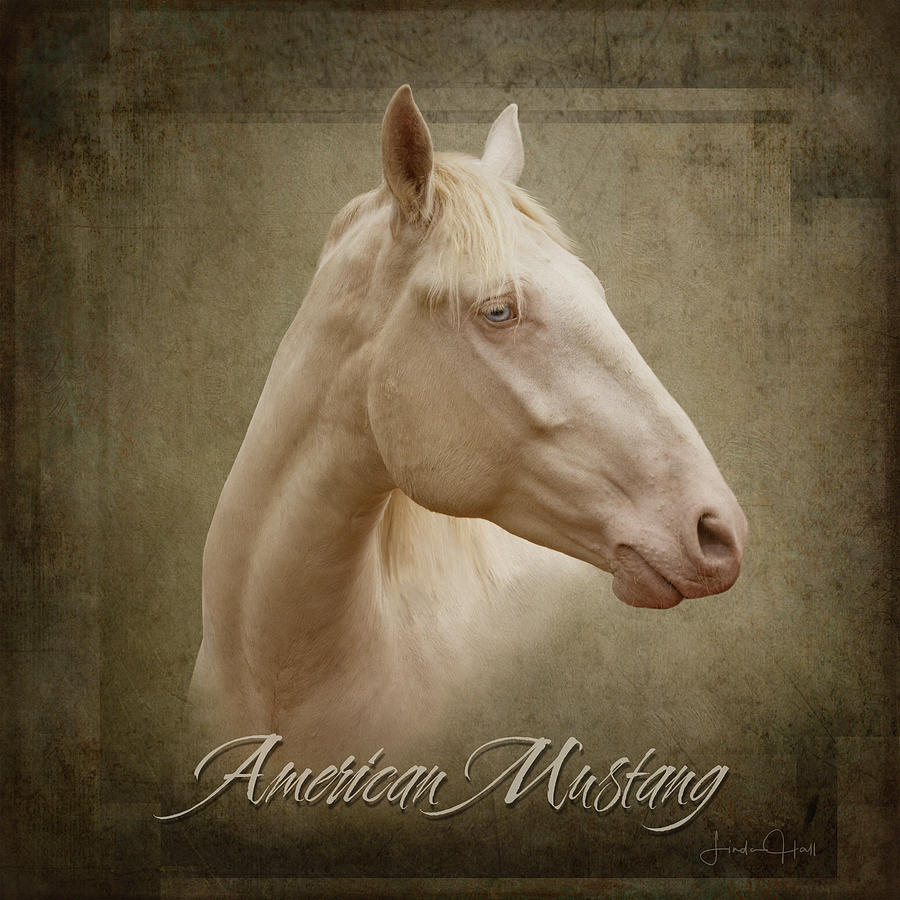 Horse Digital Art - American Mustang by Linda Lee Hall