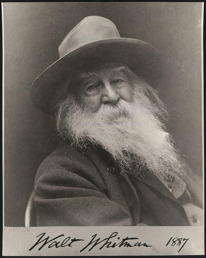 American Poet Walt Whitman, 1887, By Cox, George C.  George Collins  1851-1903, Photographer Painting