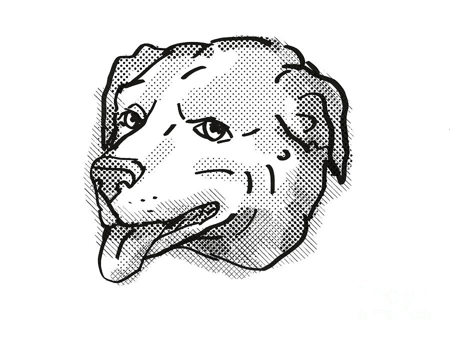 American Pugabull Dog Breed Cartoon Retro Drawing Digital Art