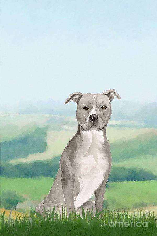 American Staffordshire Terrier Painting by John Edwards