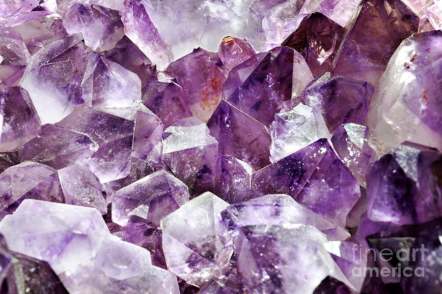 Amethyst Crystals Photograph by Martin Bond/science Photo Library