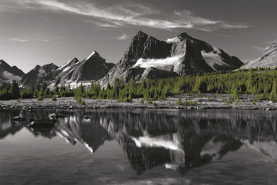 Abstract Photograph - Amethyst Lake Reflection Bw With Color by Alan Majchrowicz