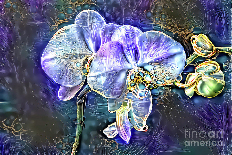 Orchid Digital Art - Amethyst Orchids by Elisabeth Lucas