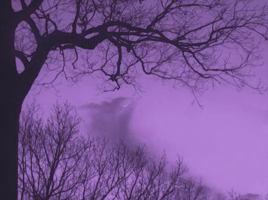 Amethyst Sky Photograph by Susan Hope Finley