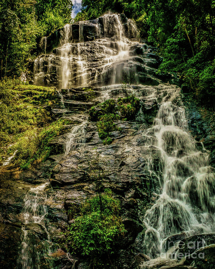 Amicalola Waterfall Photograph by Nick Zelinsky Jr