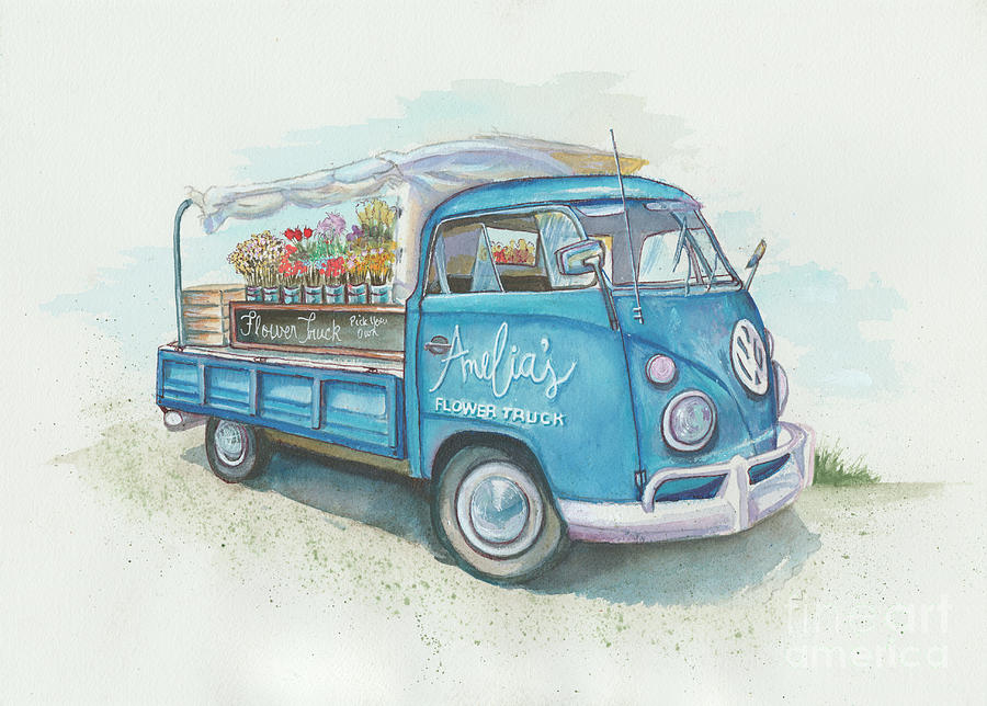 Amelials Flower VW by Sue M Marshall Amelials Flower VW by Sue M Marshall