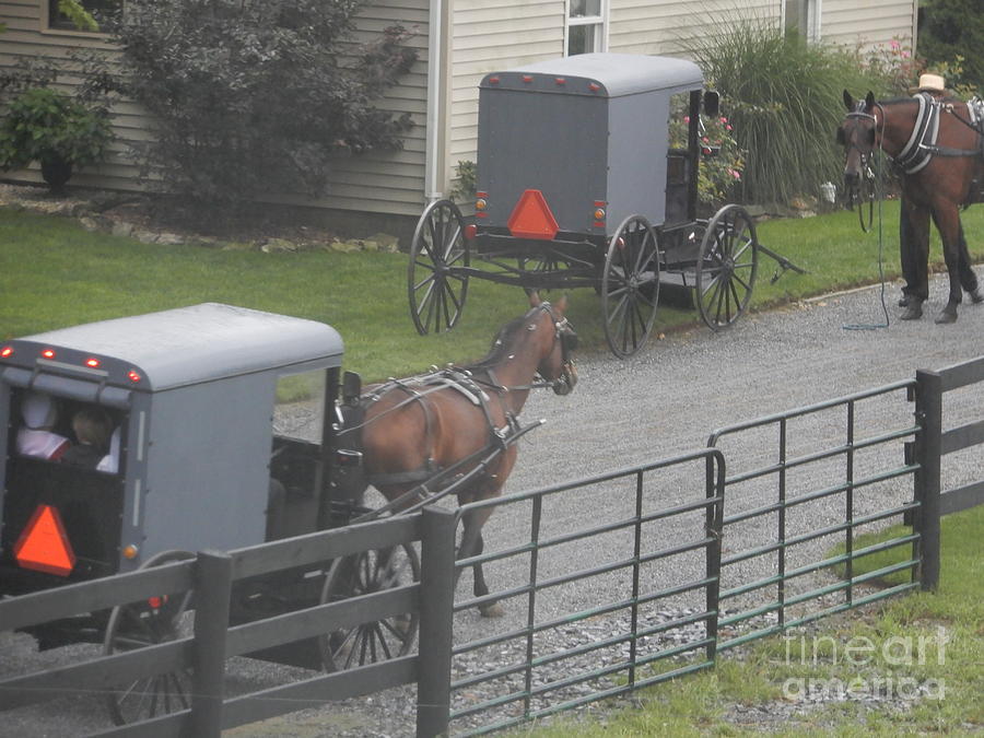 Amish Buggies at Church Photograph by Christine Clark
