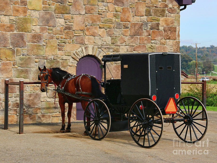 Amish Buggy 5308 Photograph by Jack Schultz
