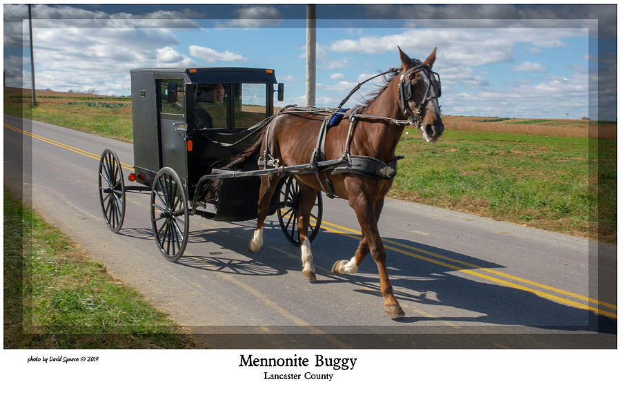 Amish Buggy Photograph by David Speace