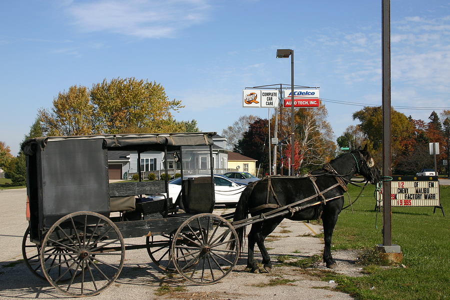 Amish buggy hitched horse Digital Art by Judith Knilans - Fine Art America