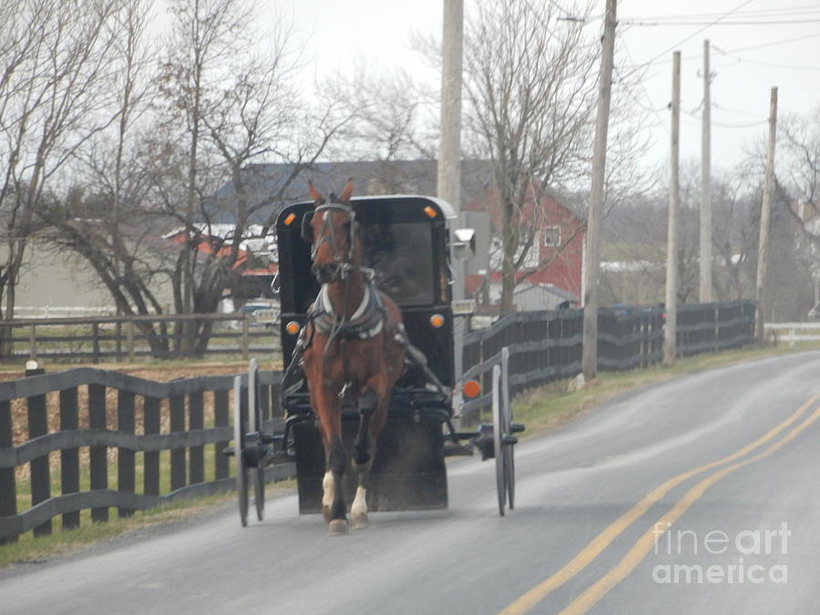 Amish Buggy on a Late Autumn Afternoon Photograph by Christine Clark