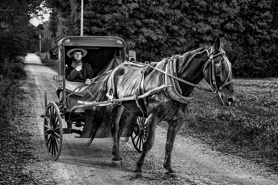 Horse Photograph - Amish Buggy by Richard Reames