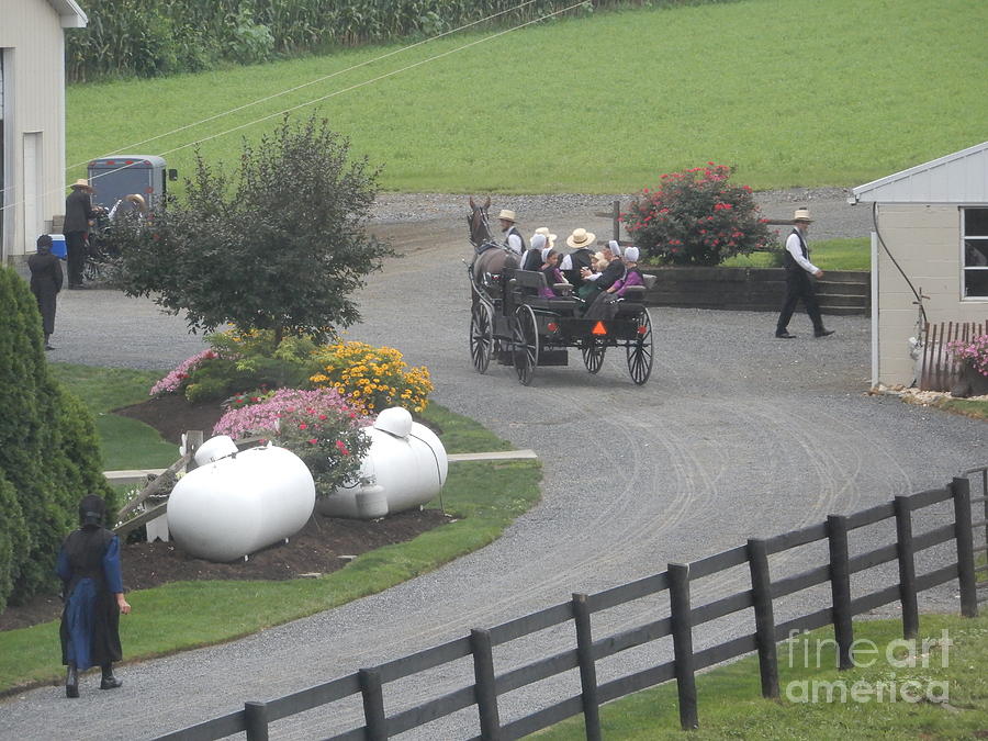 Amish Families Gather Photograph by Christine Clark
