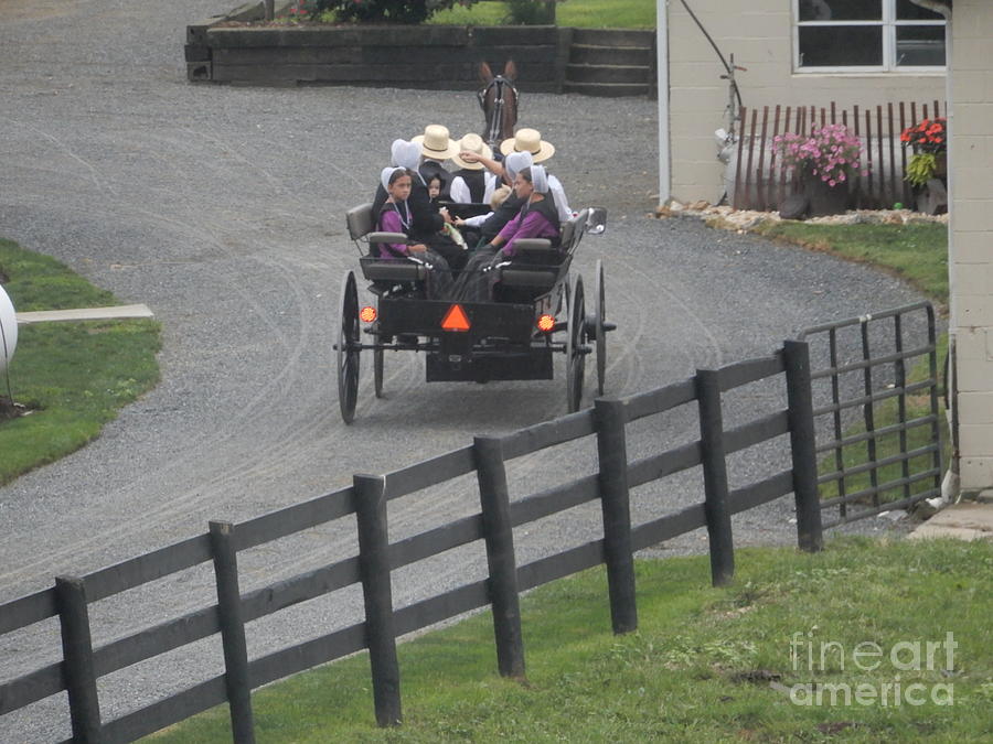 Amish Family Goes to Church Photograph by Christine Clark