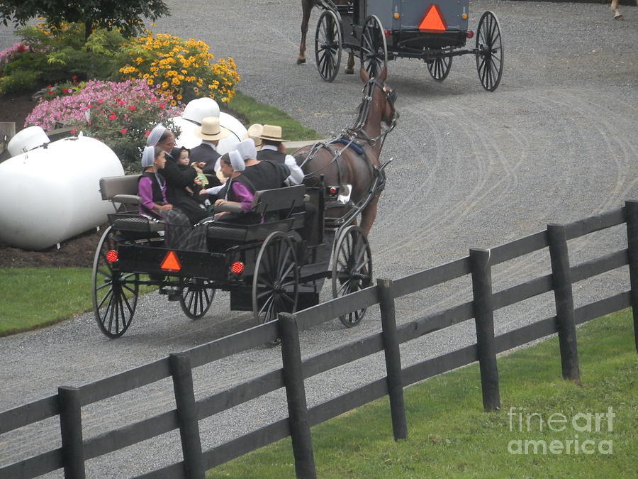 Amish Family Going to Church Photograph by Christine Clark