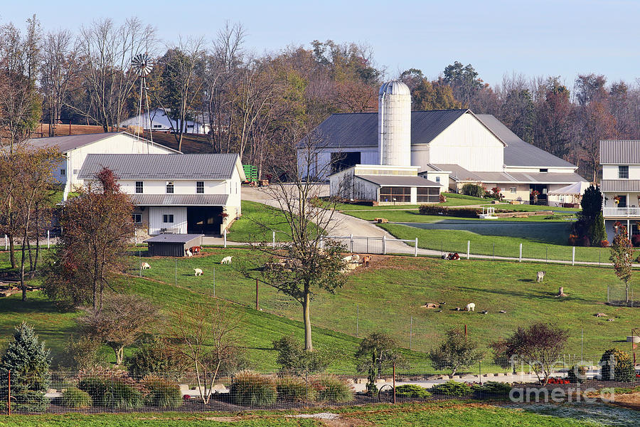 Amish Farm  3620 Photograph by Jack Schultz
