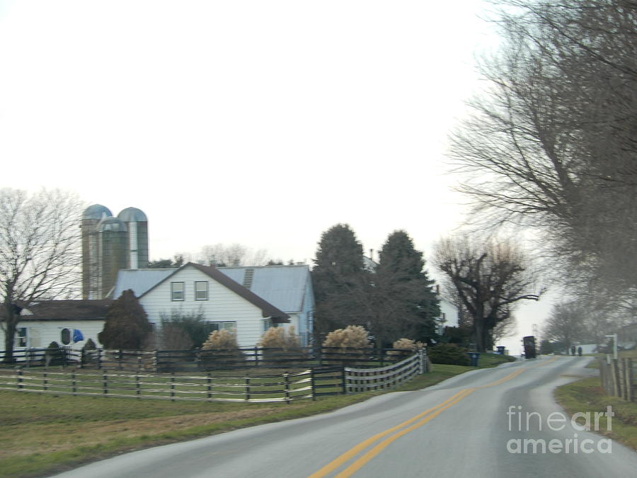 Amish Farm and Buggy Photograph by Christine Clark
