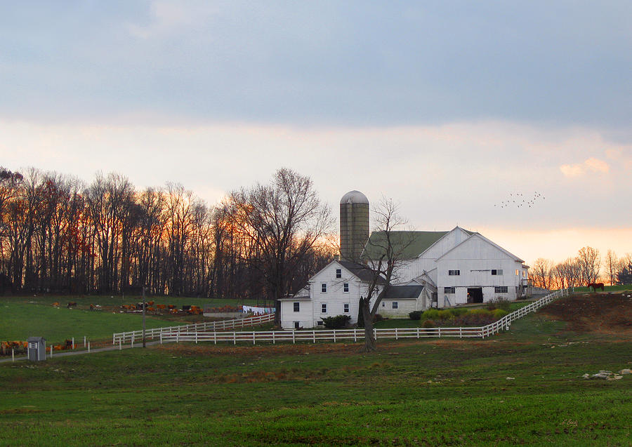 Amish Farm at Dusk  Photograph by Gordon Beck