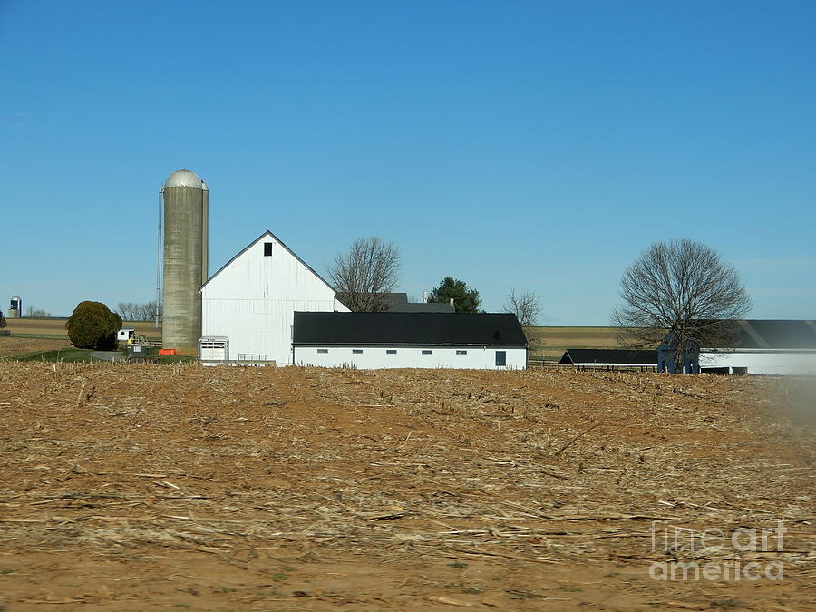 Amish Farm Days Photograph by Christine Clark