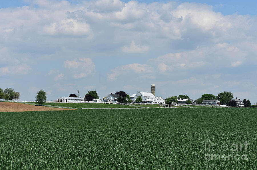 Amish Farm in Lancaster County Pennsylvania with Gorgeous Pastur Photograph by DejaVu Designs