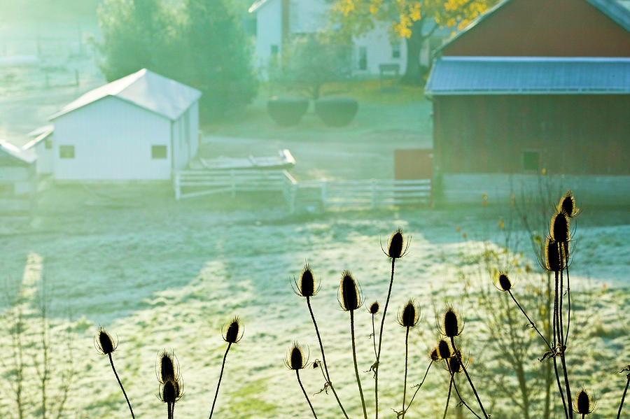 Amish Farm, Waterford, Ohio Digital Art by Walter Bibikow