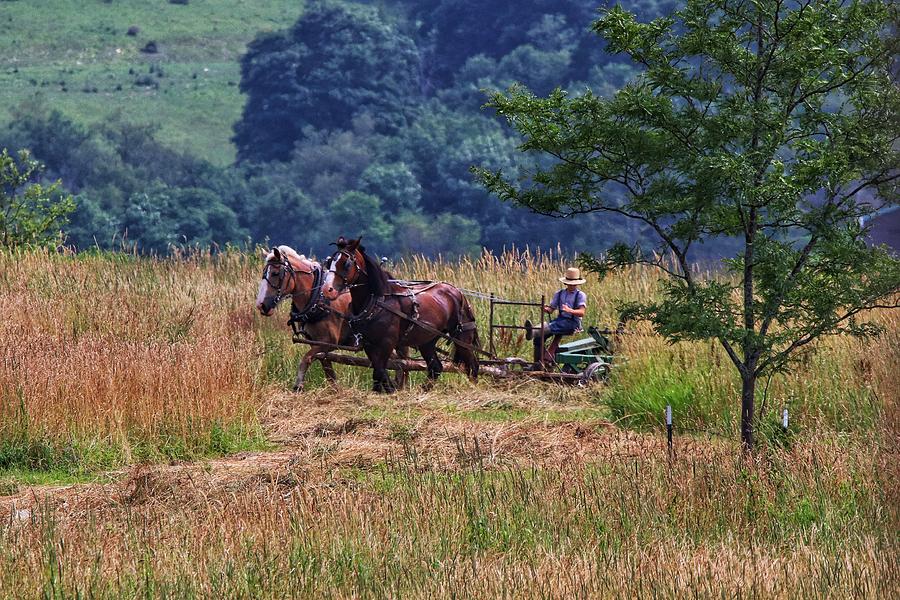 Amish farming Photograph by Susan Jensen