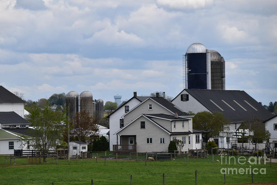 Amish Homesteads on a Spring Afternoon Photograph by Christine Clark