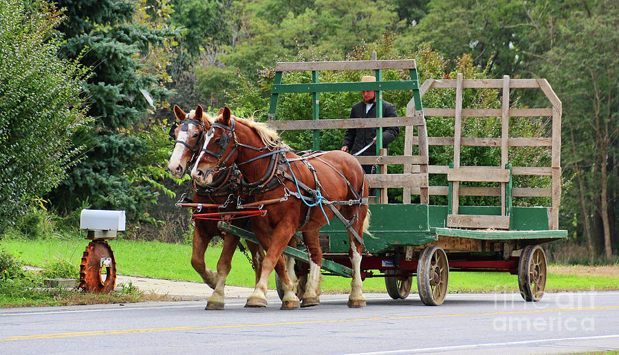 Amish Horses and Wagon 5414 Photograph by Jack Schultz