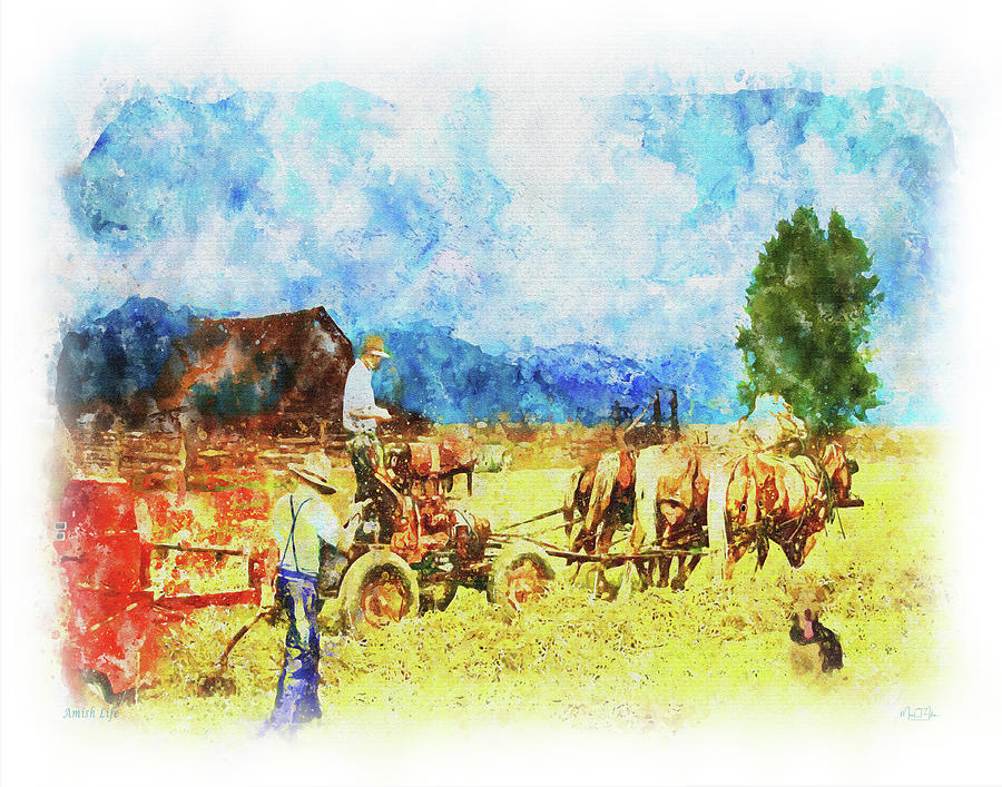 Amish Life by Mark Allen Amish Life by Mark Allen