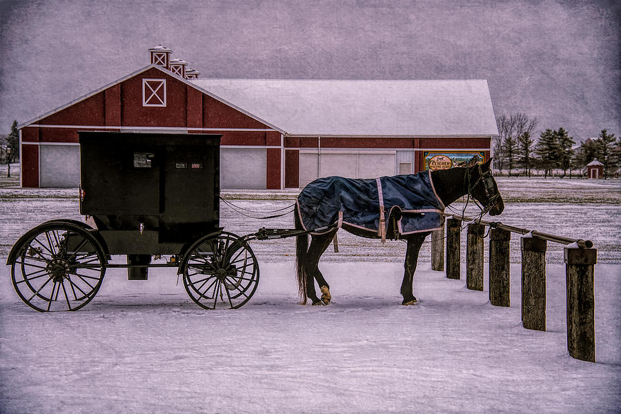 Nature Photograph - Amish Life Parking by Teri Reames