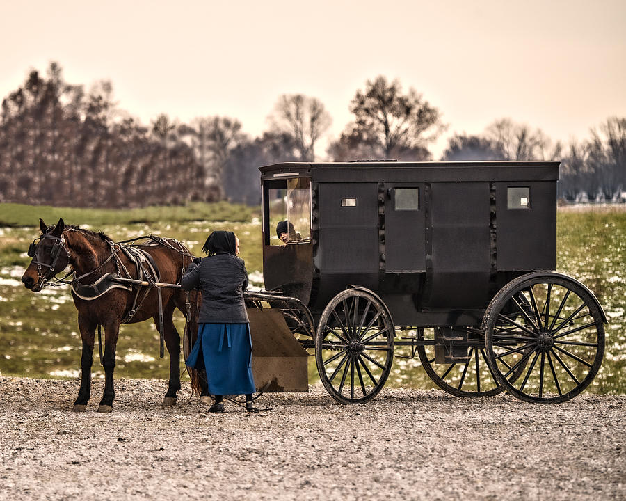 Nature Photograph - Amish Life by Teri Reames