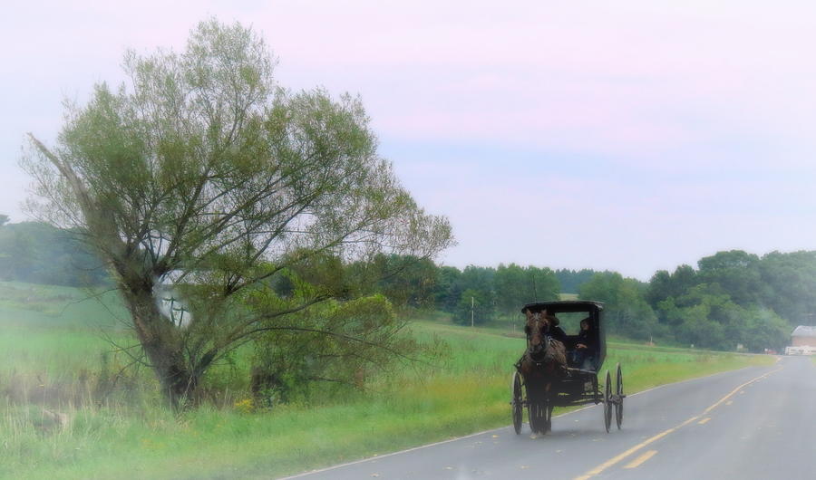 Transportation Photograph - Amish Means Of Travel by Kay Novy