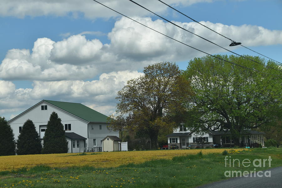 Amish on a Farm Ahead Photograph by Christine Clark