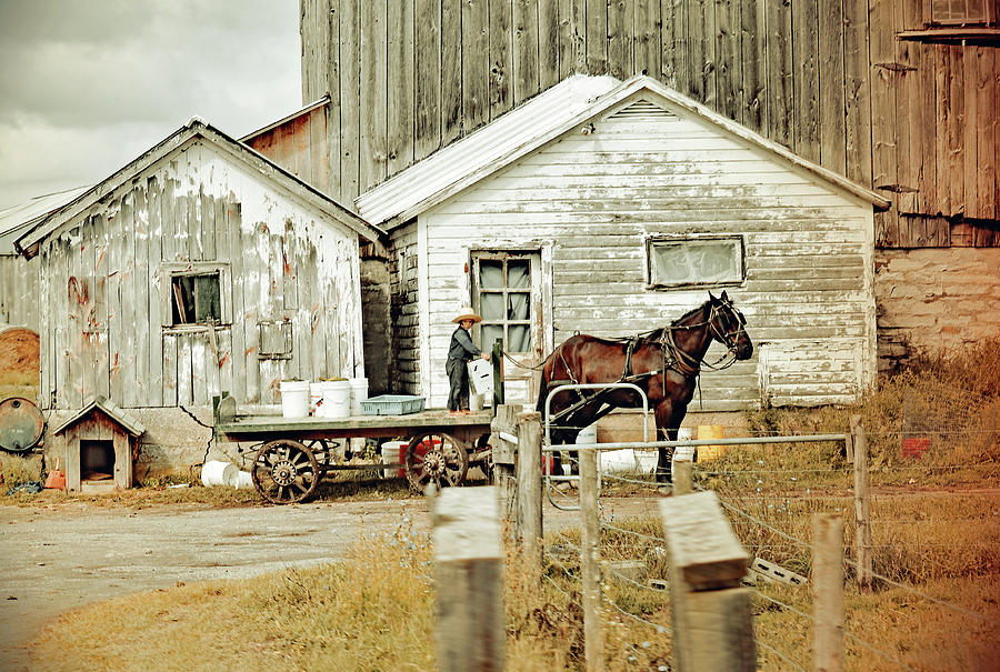 Summer Photograph - Amish Ready 4 Work  by Joseph F Safin