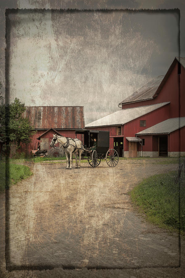 Amish Road Trip Photograph by Deborah Penland