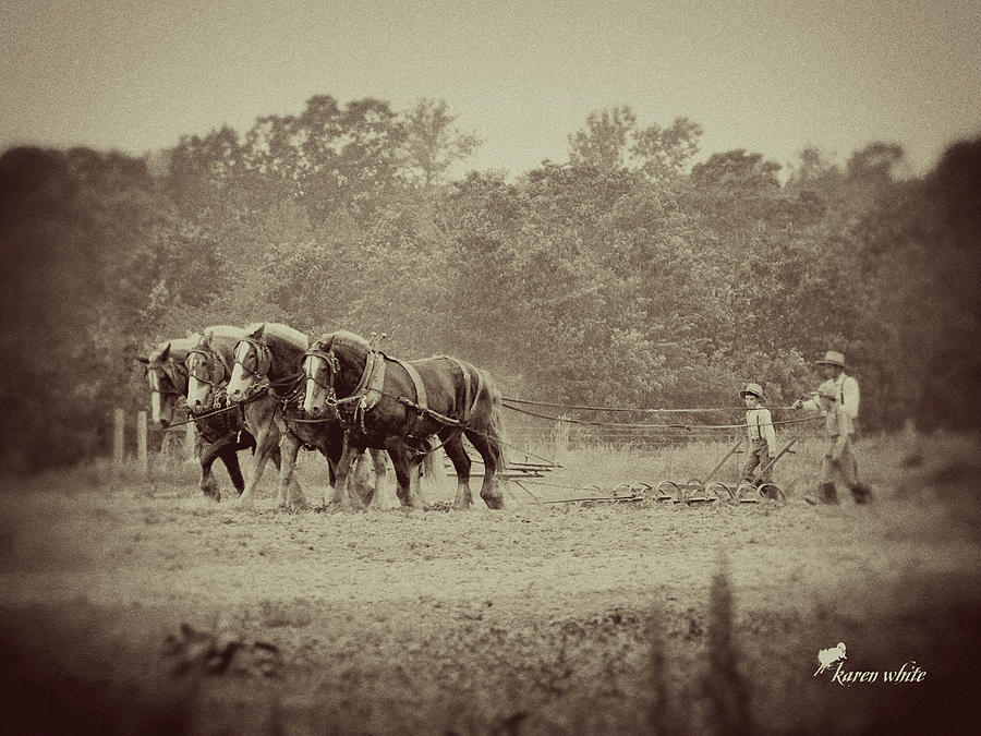 Amish Tintype Photograph by Karen White