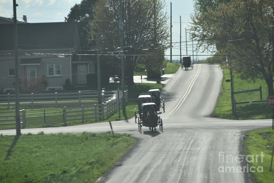 Amish Visiting Day Buggies Photograph by Christine Clark