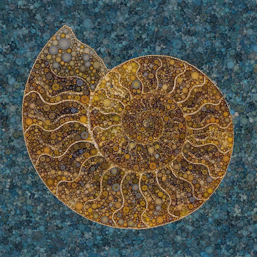 Ammonite Digital Art by Daniel McPheeters