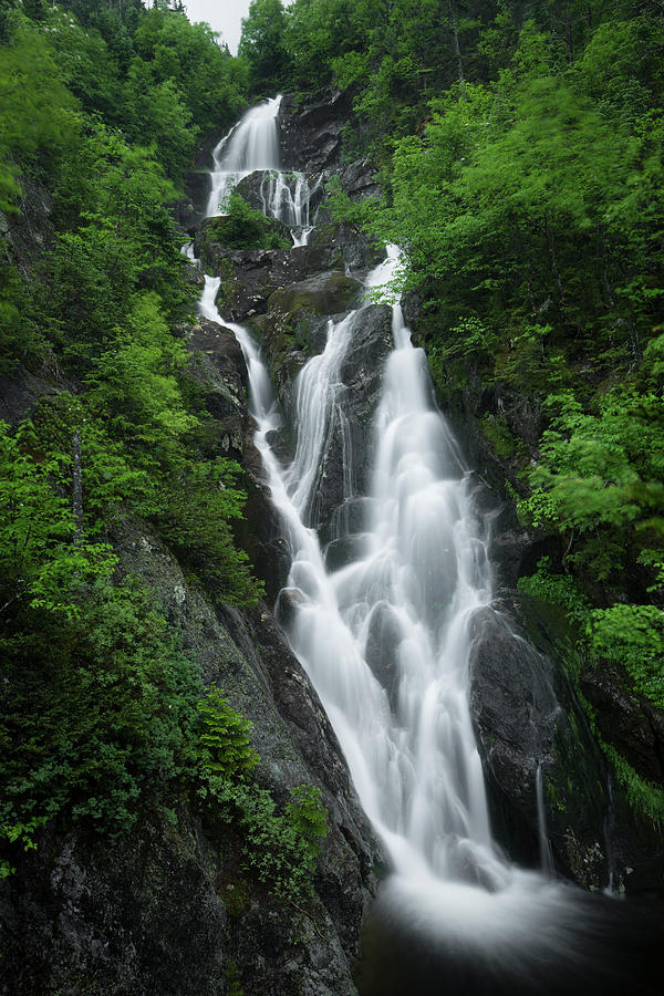 Ammonoosuc Ravine, New Hampshire by Greg Parsons Ammonoosuc Ravine, New Hampshire by Greg Parsons