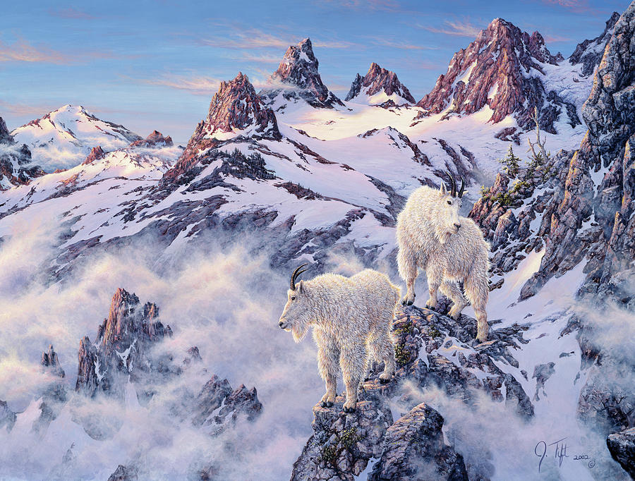 Among The Clouds - Mtn. Goat Painting by Jeff Tift