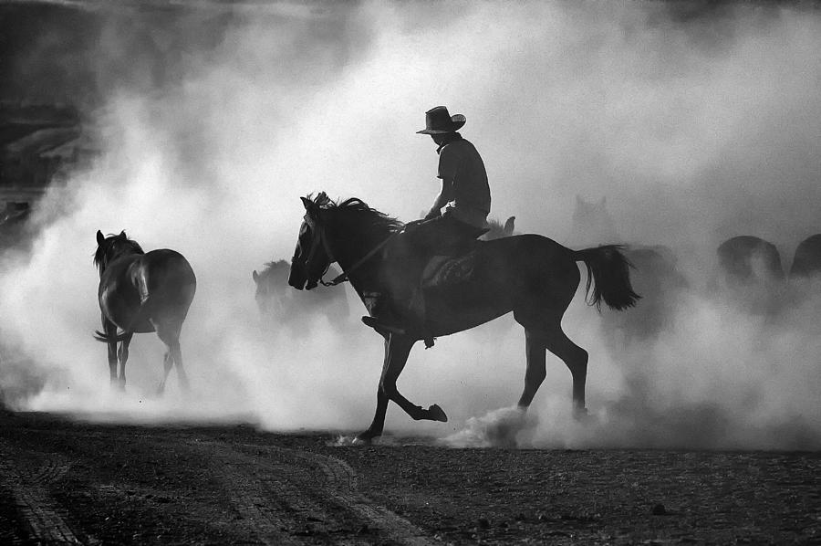 Among The Dust Photograph by Gilcan Mete - Fine Art America